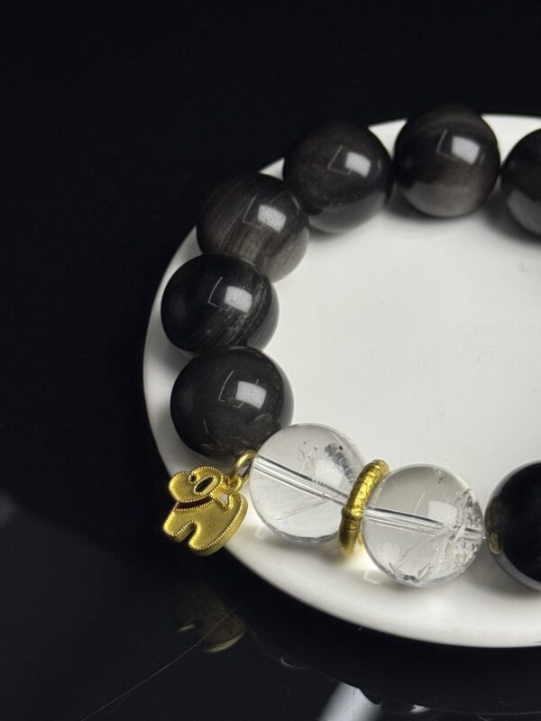 _cgi-bin_mmwebwx-bin_webwxgetmsgimg__&MsgID=7612232649500808109&skey=@crypt_5d9f2d0d_b0b44d49714aa20364262728dbab7d6d&mmweb_appid=wx_webfilehelper Silver Obsidian & Clear Quartz Crystal Bracelet — Grounding Protection Stone Jewelry for Men & Women