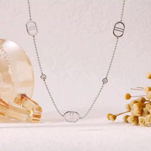 d845de5aaf3dbd0b5a01f9fb13c5ad67 Celeste Stainless Steel Necklace