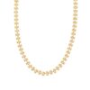 Velora Link Titanium Necklace | Minimalist Gold Chain Choker